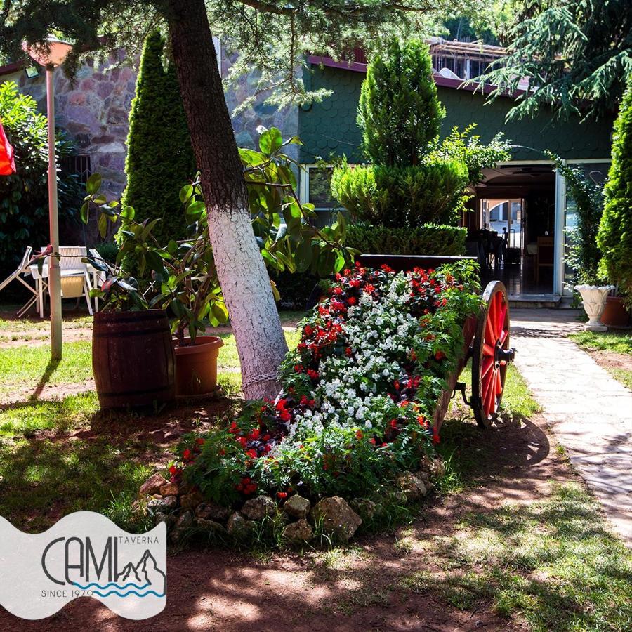 Hotel Cami Debar Exteriér fotografie